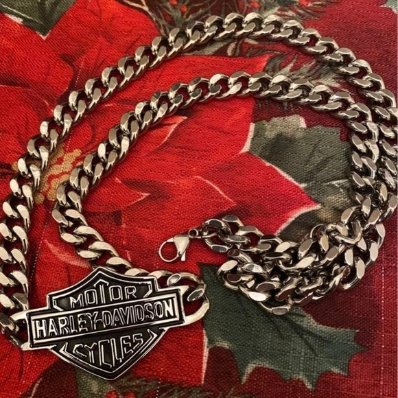 - Harley Big Chain, Jewelry for Men, BFF, HD - Picture 2 of 4